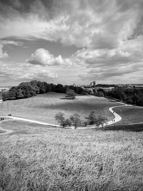 A black-and-white photograph of a spacious park with a gently sloping grassy hill in the foreground, dotted with a few small trees and surrounded by a winding footpath that curves through the open space. In the middle ground, a larger cluster of trees borders the park, creating a natural boundary between the grassy area and the urban landscape in the background. The city skyline with several multi-storey buildings is visible in the distance beneath a sky filled with clouds, some wispy and others more substantial. The scene suggests a peaceful outdoor environment suitable for leisure activities, with no visible furniture, vehicles, or signs of ongoing moving activities, reflecting a calm, natural setting typical of urban parks. This image could be used to complement content related to home relocation or outdoor spaces near property locations served by Man with Van Dollis Hill, emphasizing the contrast between residential areas and green environments.