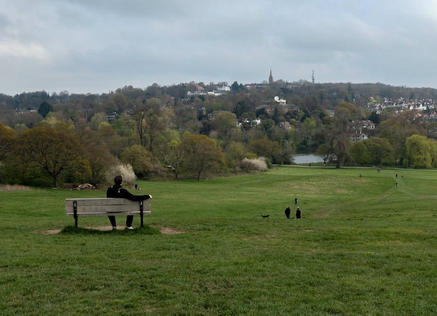 A person dressed in dark clothing sits on a wooden park bench facing away from the camera, overlooking a large grassy open space in a park. The park is dotted with a few dogs and people walking in the distance. Surrounded by trees with budding or early leaves, the landscape extends into a distant hillside with residential buildings and a church steeple visible against a partly cloudy sky. The scene captures a peaceful moment in an urban green area, with the individual possibly relaxing during a home relocation or break in moving activities. Man with Van Dollis Hill services are not directly visible but the environment suggests the context of moving logistics and packing or transport processes typical of house removals and furniture transport.